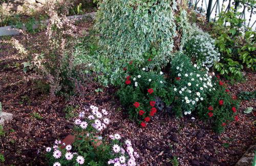 Casa Jardín de la Plata - Foto 58