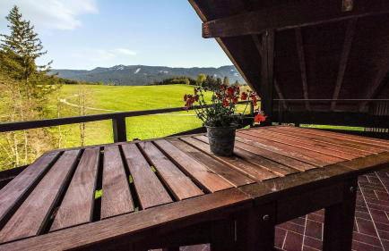 Appartement Hochwildfeuerberg - Foto 23