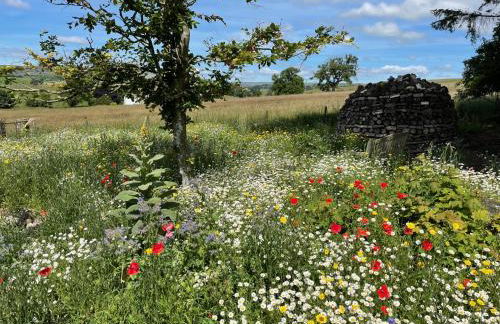 Luxurious Granny House Bell Busk in Malhamdale - Foto 46