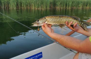 PLAŻOWY ZAKĄTEK - Foto 47