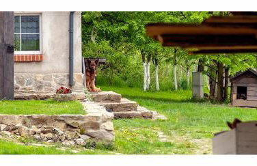 Kozy i Róże - Foto 14