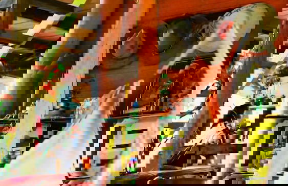 Pousada Pouso das Araras - Foto 53