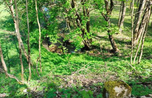 Leśna Chata kuracyjna nad rzeką z sauną w Borach Tucholskich - Foto 68