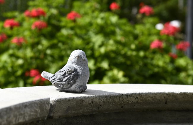 Petit & Grande Plaisir - Photo 65