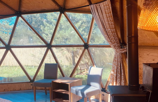 Lepista Garden - Foto 4