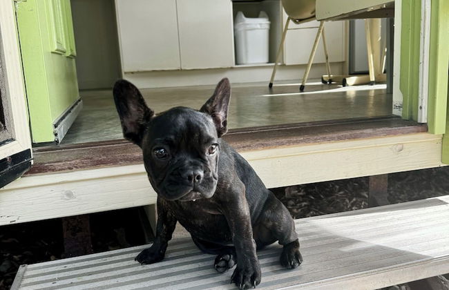 Kipara Tropical Rainforest Retreat - Photo 17