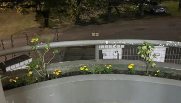 G1 Fashion ap 101 - Foto 2