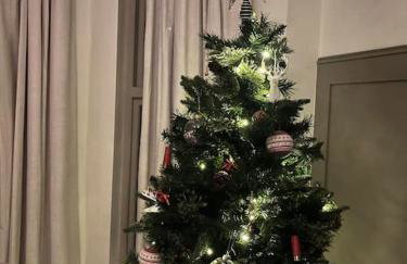 Glenesk Flat 2 with private courtyard - Foto 17