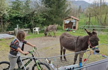 B&B dei Forestieri - Foto 30