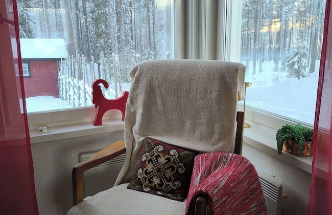 Lapland Pure Nature and More! - Foto 5