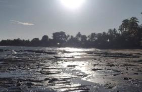 Souzas House - Foto 16