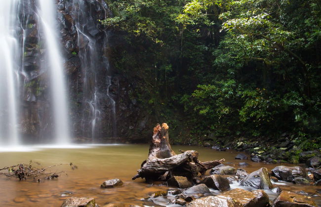 Excursión a Atherton Tablelands - Foto 1