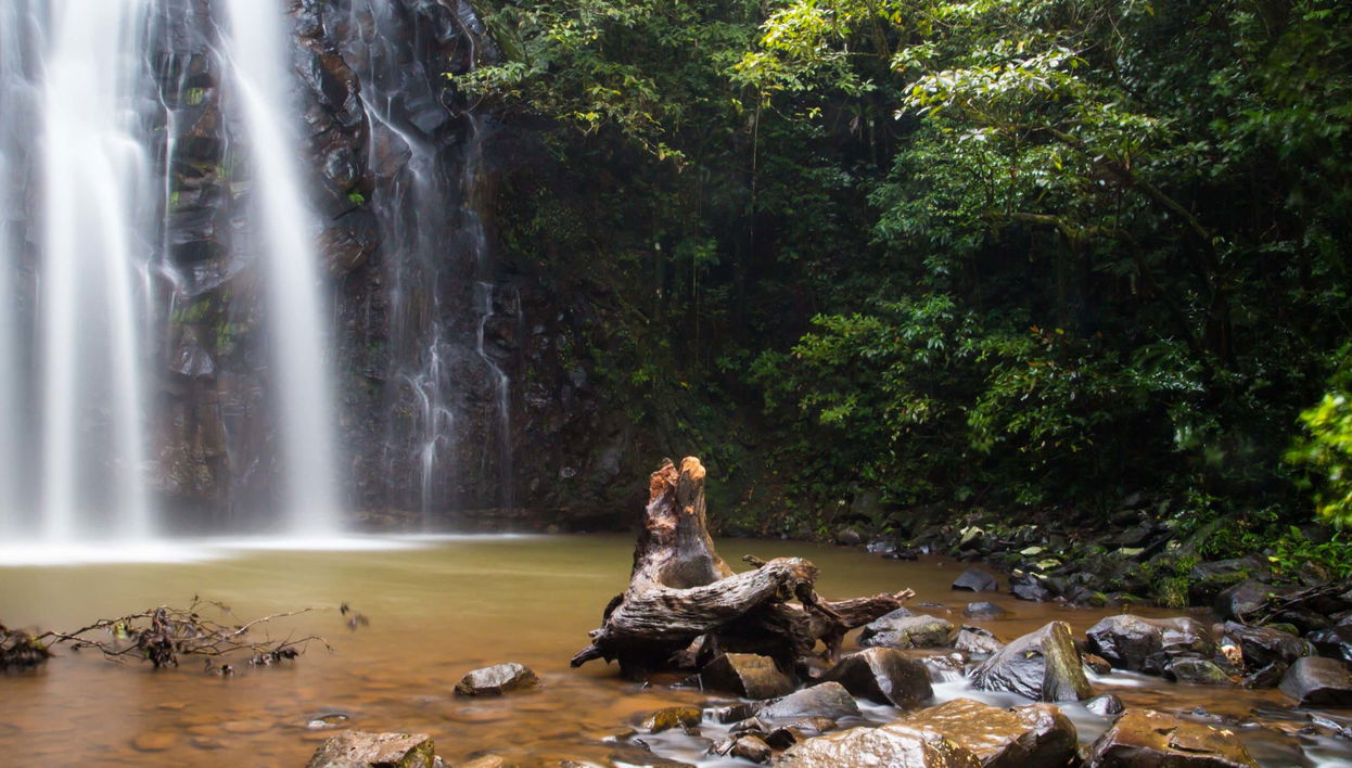 Excursión a Atherton Tablelands