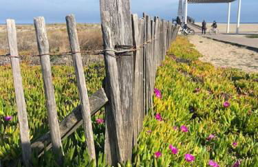 Les Voiles Blanches T2 luxe à 100m de la plage - Foto 57