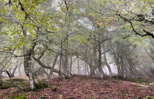 Los Chozos de la Braña - Foto 22