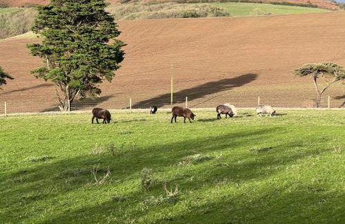 Poachers Hut 1-Bed Cottage Sleeps 2 Pet Friendly - Foto 21