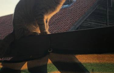 Uroczysko Deresze - Foto 71