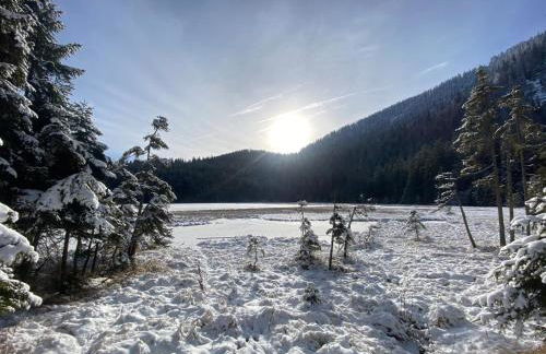 Ferienwohnung Jansen - Foto 6