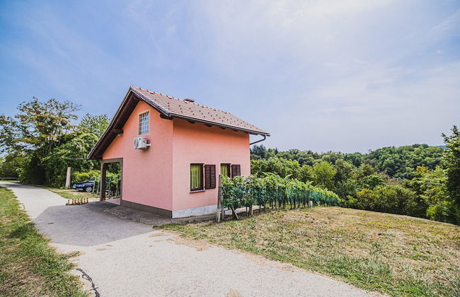 Holiday Home Vesna with Sauna - Foto 32