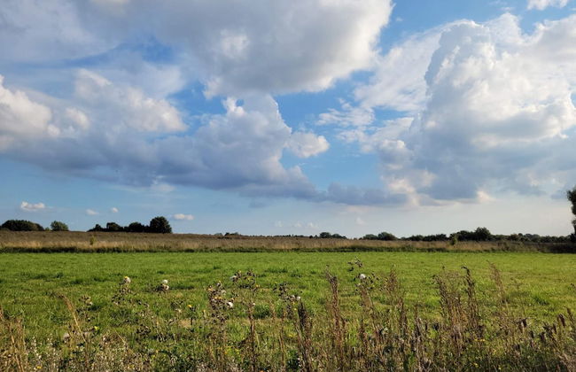 6 Person Holiday Home in Praesto-by Traum - Foto 8