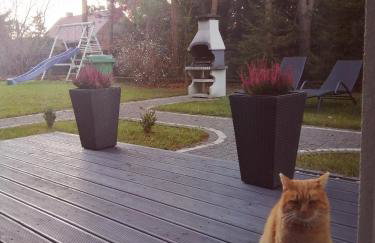 Mazurska Niwa - Foto 8