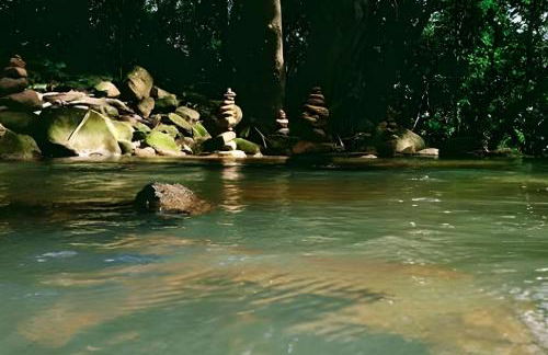 Sítio das Flores, 7 Km do centro de Castelo - Foto 28