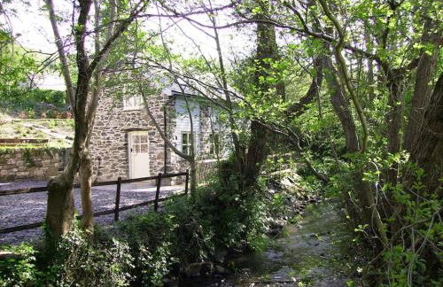 Hafannedd Cottage - riverside views - Photo 15