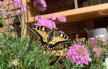 Rosehill Cottage 1699 - Stilvolles Hideaway, Berge & See - Photo 41