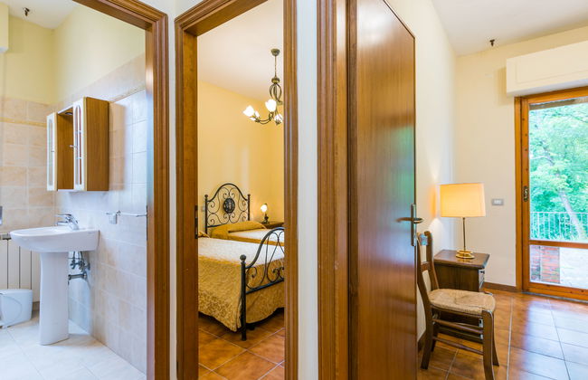 Rosa+Margherita+Lavanda+Ginestra+Gelsomi - Foto 32