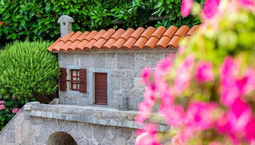 Apartment Josip Brusic - Foto 2, Garden