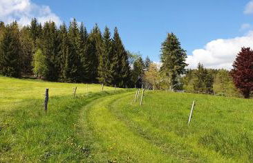 Zum Elleblick - Foto 49