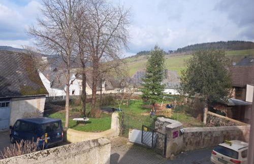 Haus Moselwald - 3 bedrooms - Foto 21