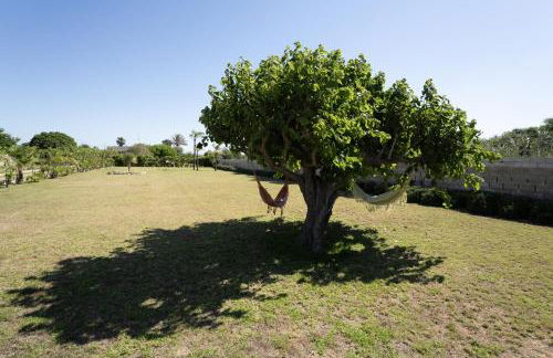 Casa Nettuno - Foto 25