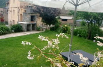 Borda Diego - Photo 10