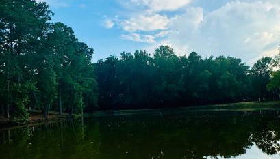 Lakefront Condo - King Bed Full Kitchen - Foto 2