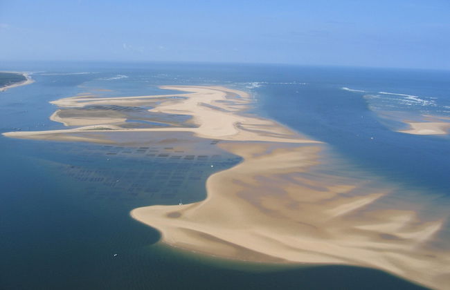 Les Calicots Sanguinet - Photo 54