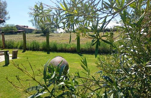 El Pinar de Arna - Photo 28