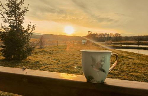 Chatka nad Stawami - Photo 19