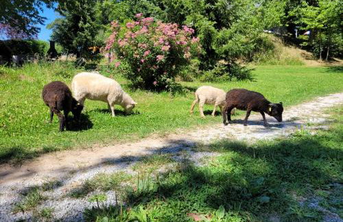 Stacaravan 6 persoons - Camping Le Soustran - Foto 27