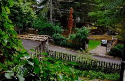 La Stella Alpina - Photo 7