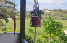 APARTMENT TSAIRA - Photo 17