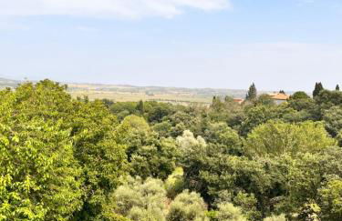 Le volte in Toscana - Photo 22