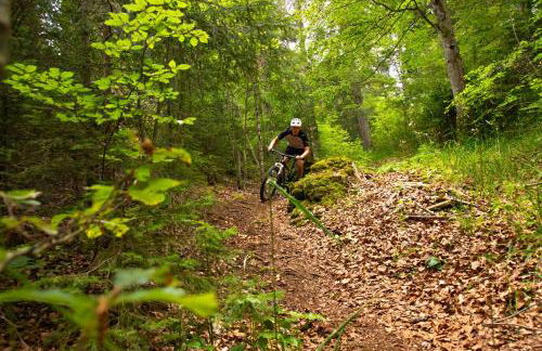 Les Rousses Du Lac - Foto 28