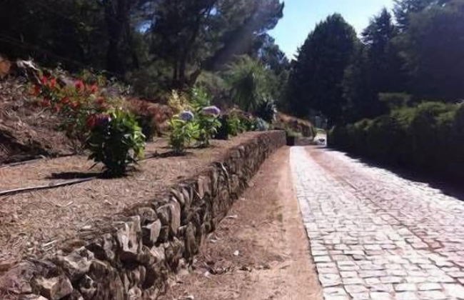 Rivatur - Explorações Turísticas Lda - Foto 42