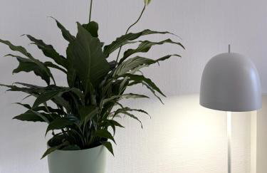 Feinzeit Bella Nella - zentral, ruhig, frei parken! - Photo 15