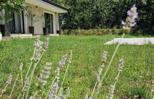 Villa DE Luna Istra,whirlpool - Foto 27