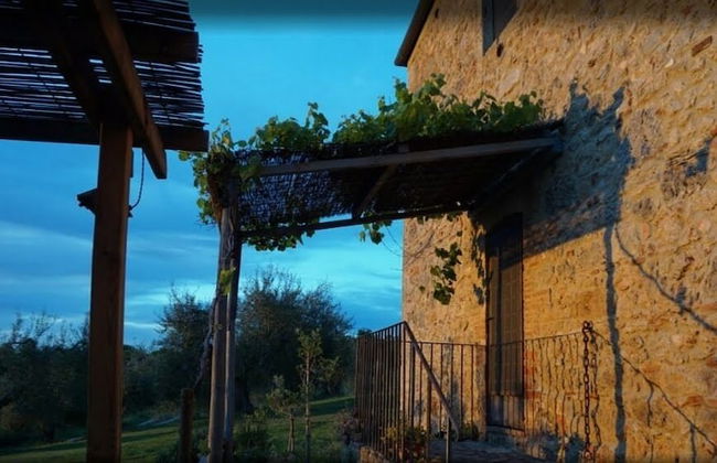 Podere Spedalone - Photo 65