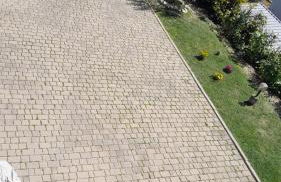 Le Rondini - Foto 14