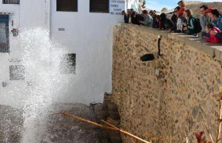 Paradise in Font Nova - Foto 59