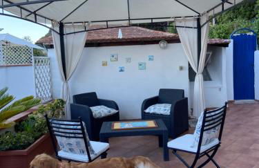 Ippocampo Blanc - Foto 20